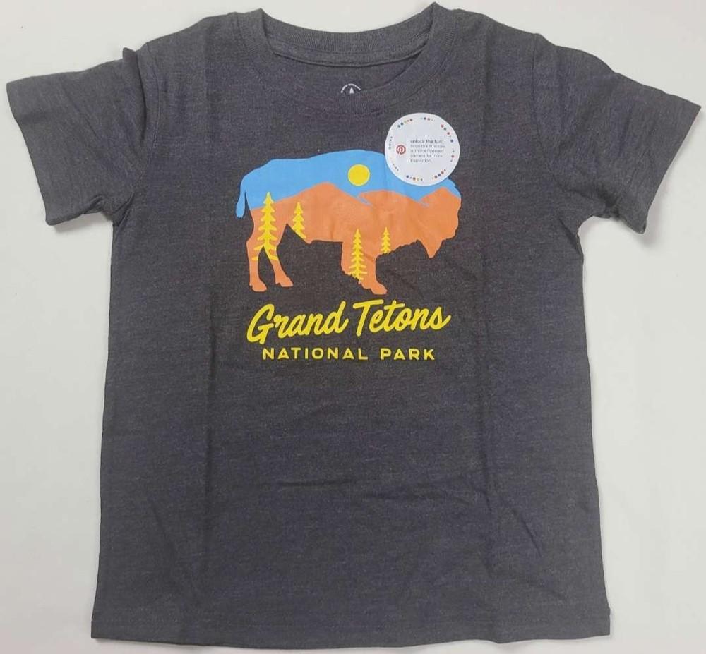 Grand Tetons National Park Wyoming Buffalo Boys T-Shirt (Grey) Unisex T-Shirt S