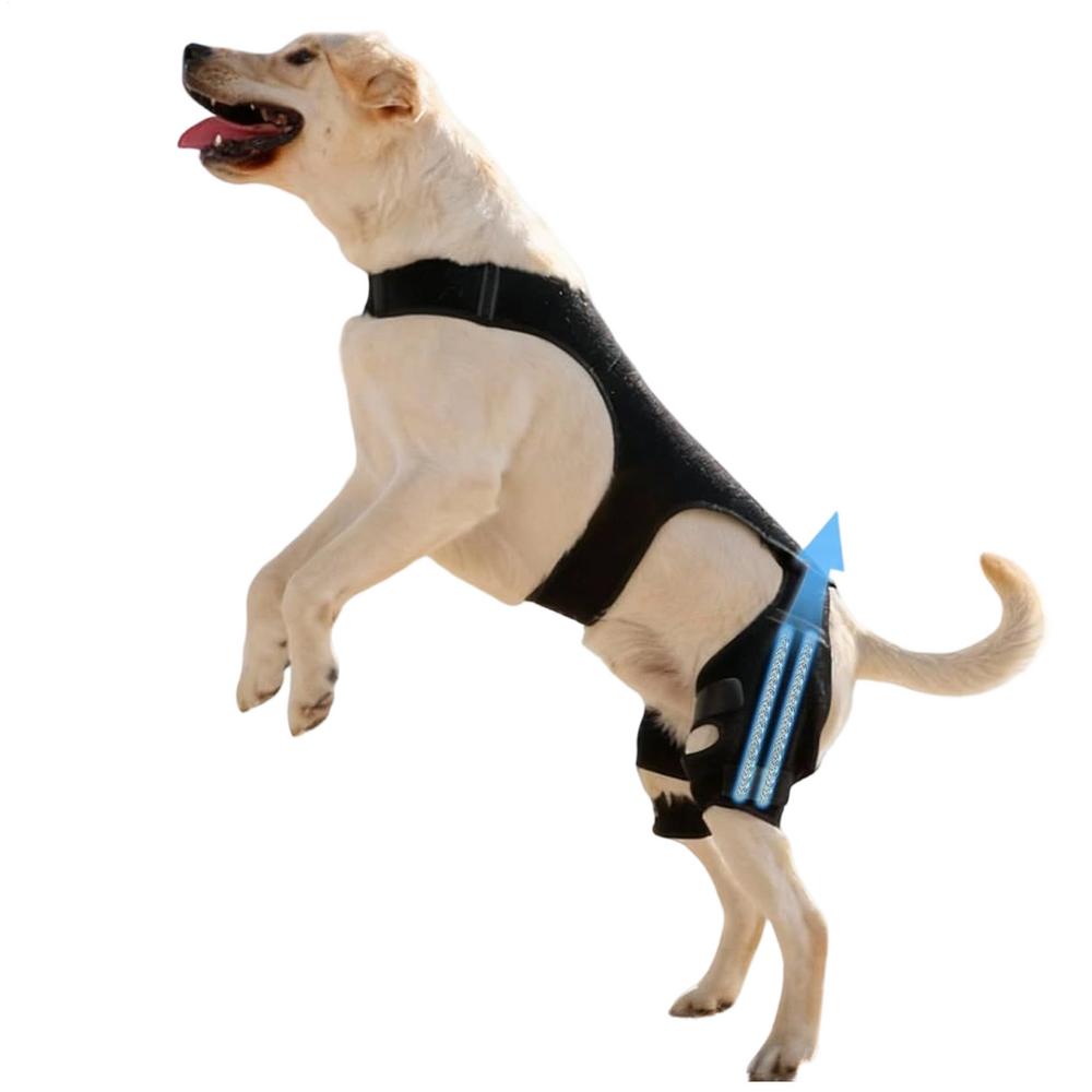 Dog Knee Braces for Back Leg Adjustable Knee Sleeve with 4 Metal Stabilizers Rear Leg Support for Hiking Exercise Outdoor