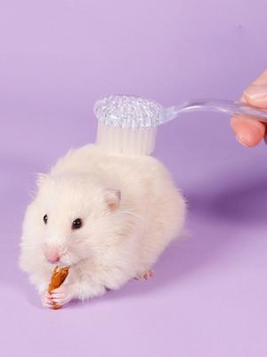 1pc-Pet Bath Brush, Gentle Massage, Easy To Comb and Use with Shower Gel, Suitable for Both Dry and Wet Use