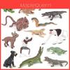Kinder Tier PVC Modell Set Mit Realistischen Wildtierfiguren Für Pädagogisches Spiel