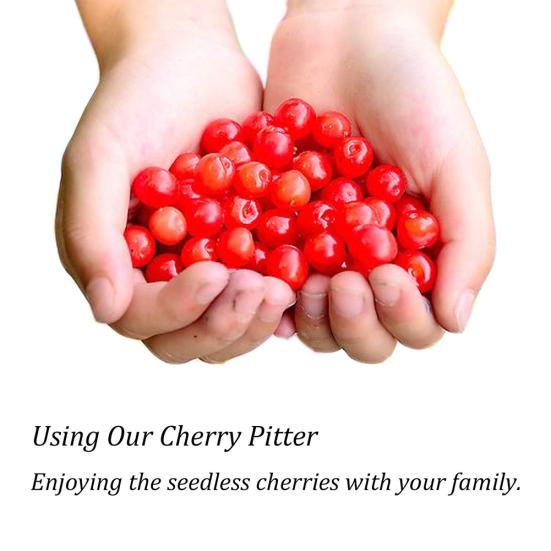 Kirsch Olivenentkerner Separator Entsteiner Entkerner Fruchtausstecher Küchenwerkzeuge