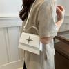Chic Street Style Small Crossbody Bag For Women Trendy 2024 Pu Leather Handbag