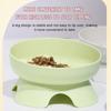 Elevated Cat Bowls No-Spilling Tilted Raised Pet Food and Water Bowls for Cats and Small Dogs Pet