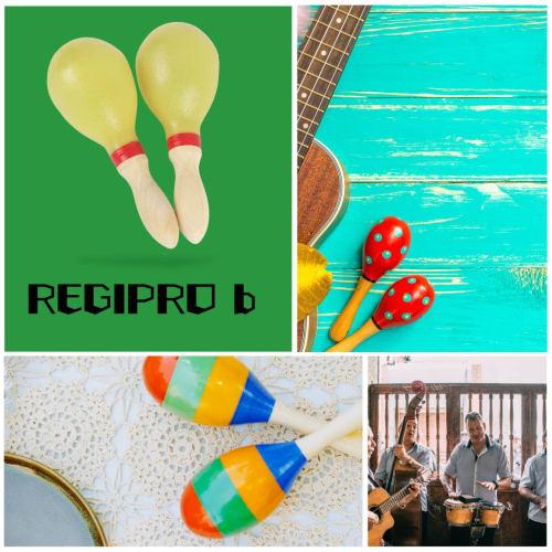 Set of 2 RegiProb Maracas, Plastic and Wooden, Perfect for Karaoke, Percussion, and Party Supplies (Yellow)