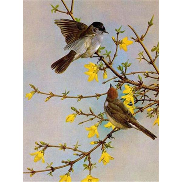 5D Diamond Painting Birds Kit DIY Full Drill Round Diamond Embroidery Animal Mosaic Picture of Rhinestones Home Decoration