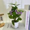 Flores de Jasmim Artificiais Multicoloridas Folhagens Verdes 12 Flores Planta em Vaso Simulada Adereços de Foto Pétalas de Seda