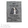 Cavalier King Charles Spaniel - Dog passport case, document case, gift for the traveller from the Art-Dog brand