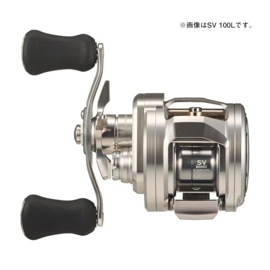 DAIWA Baitcasting Reel 26RYOGA SV 100