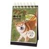 Art Print Japan 2027 Daily Desk Calendar Dog Theme 'Wan-mekuri' Cute Dogs Page-A-Day Tabletop Calendar Paper Steel Spiral Binding