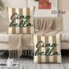 2D Flat-2pcs Striped Letter Print Decorative Throw Pillow Covers, No Inserts Included Sofa chair cushion cover