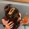 Large Frosted Hair Clip Women's Side Bangs Clip Headdress Back of Head Grab Clip