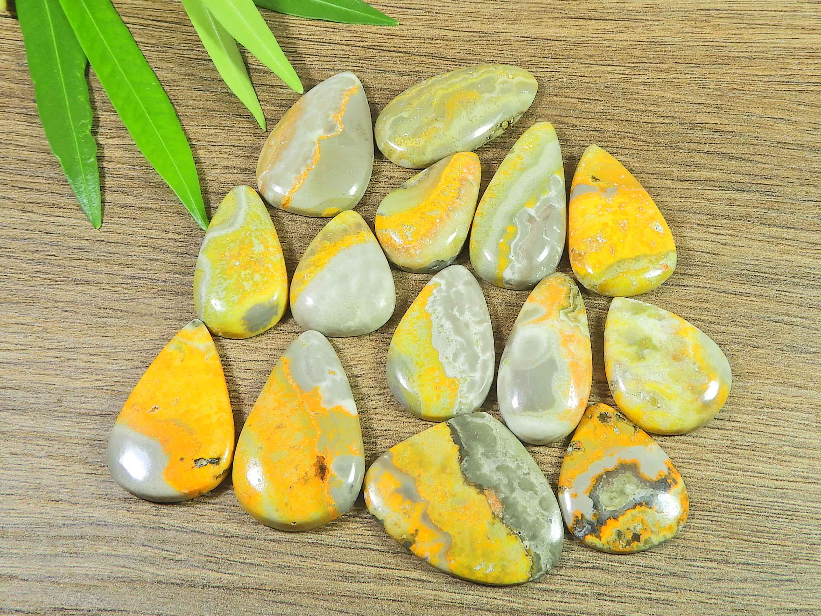 

228Cts. AAA Bumblebee Jasper Pear Cabochon Loose Gemstone 14Pcs Lot 24-31MM RQ-2328
