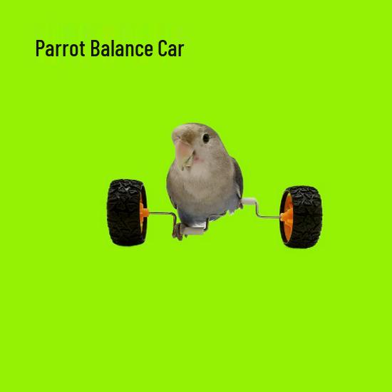 Papagei Roller Skateboard Trainingsspielzeug für kleine und mittelgroße Vögel