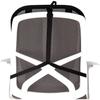 Support Dorsal en Maille - Fellowes - 9191301 - Graphite - Réglable - Confort Optimal