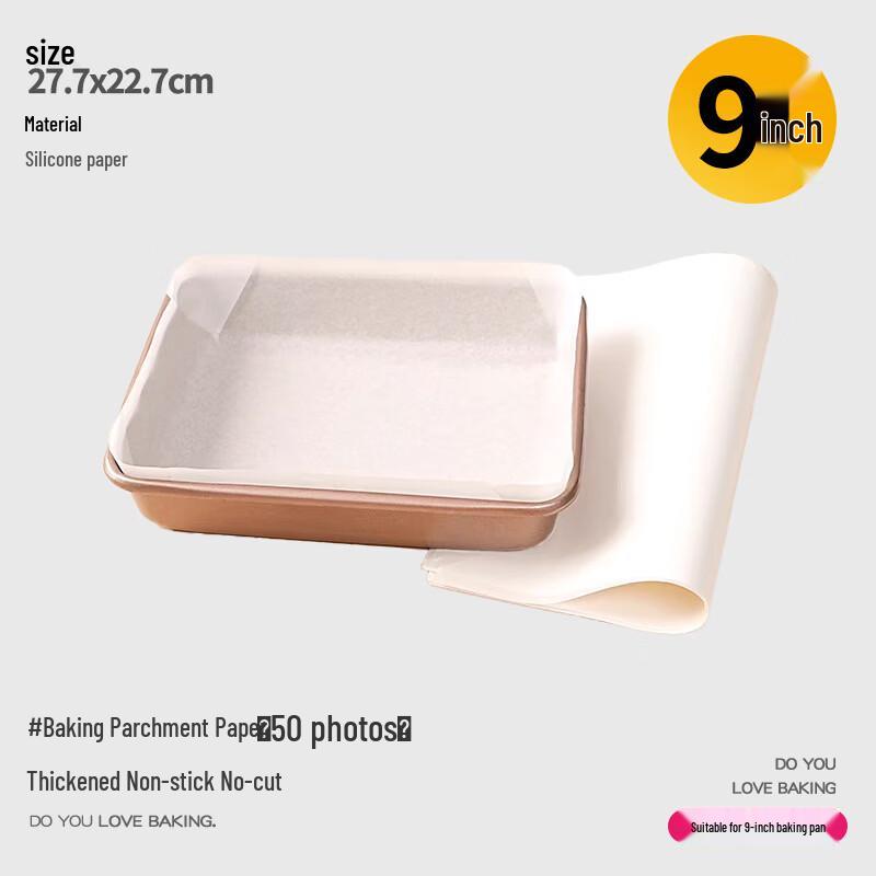 Diorain Non-Stick Baking Parchment Paper, 2 Rolls x 50 Sheets