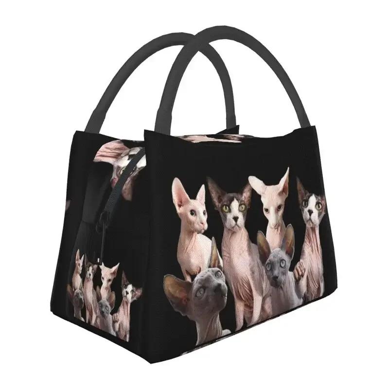 Geantă de prânz termoizolată pentru pisici Shpynx Femei Pisoi drăguț reutilizabilă Geantă de prânz pentru picnic în aer liber Depozitare cutie de mâncare