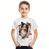 Children's Funny Series 3D Digital Printed Boys' Casual and Comfortable Round Neck Short Sleeved T-shirt