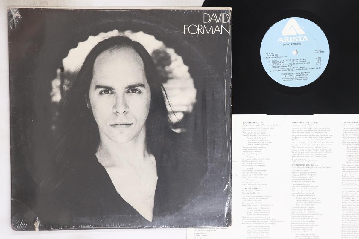 

LP Record DAVID FORMAN David Forman AL4084 ARISTA 1976 US Rock Used