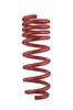 Tanabe SUSTEC DF210 Lowering Springs for Wagon and Wagon R MH23SDK R/MH23S Stingray/MH23S (2WD Only) -