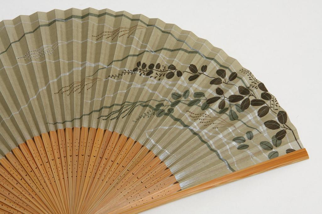 Hagi by a Kyoto includes fan case and presentation [Hasegawa] Kyoto-style fan, design, hand-carved, craftsman, box.