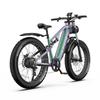 DUOTTS E26 Fat Tire Electric Bike - 48V 20Ah Samsung Battery, 80NM Torque, 55km/h Speed, 120km Range, Suitable for Urban and Off-Road Commuting