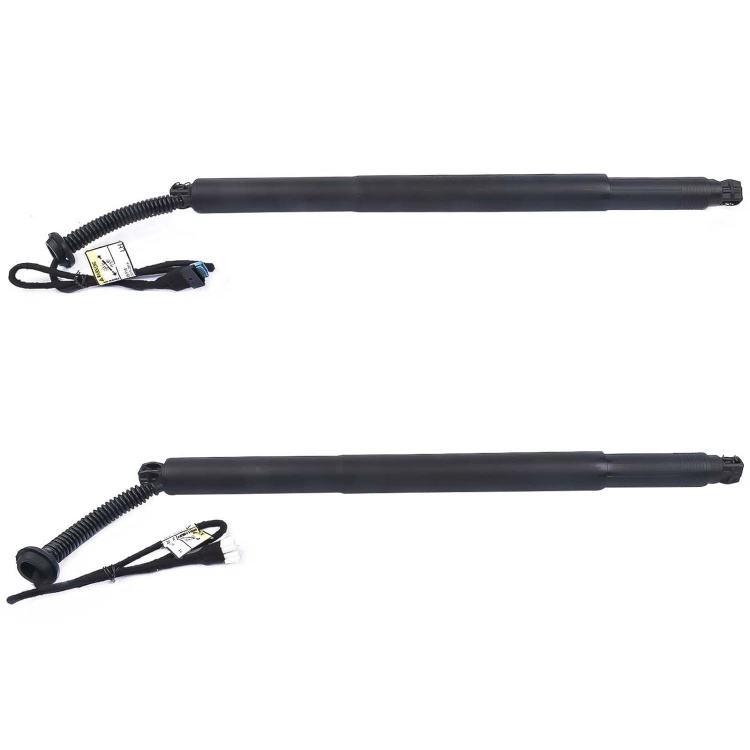 Tesla Model Y Premium Tailgate Strut (150060100A)
