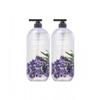 OntheBody Body Wash Lavender 900g 2pcs