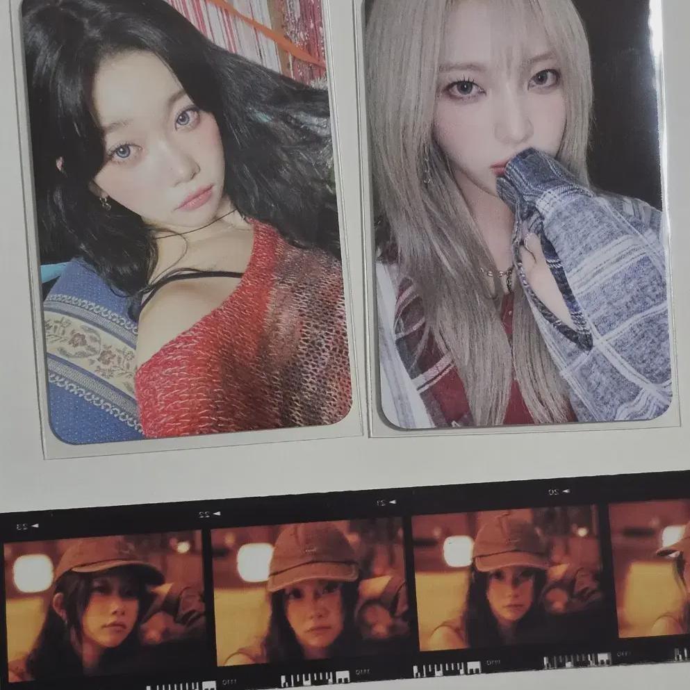 

BILLLIE Партия Alpo