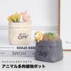 Animal Succulent Pot Pot Planter Mini Cactus Houseplant Planter Container Cute Small Item Holder Animal Flower Pot Flower Pot Interior Decoration