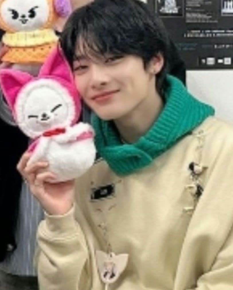 [USED] Stray Kids Christmas Pop-up Store Plush Toys