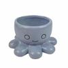 Oktopus Sukkulenten Blumentopf, Keramik Cartoon Meerestier Pflanze Topfpflanze Tischdeko Fleischblumentopf