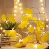 LED Simulation Ginkgo Leaf and Leaf Light String Small Colored Lights Ins Girl's Heart Network Red Light