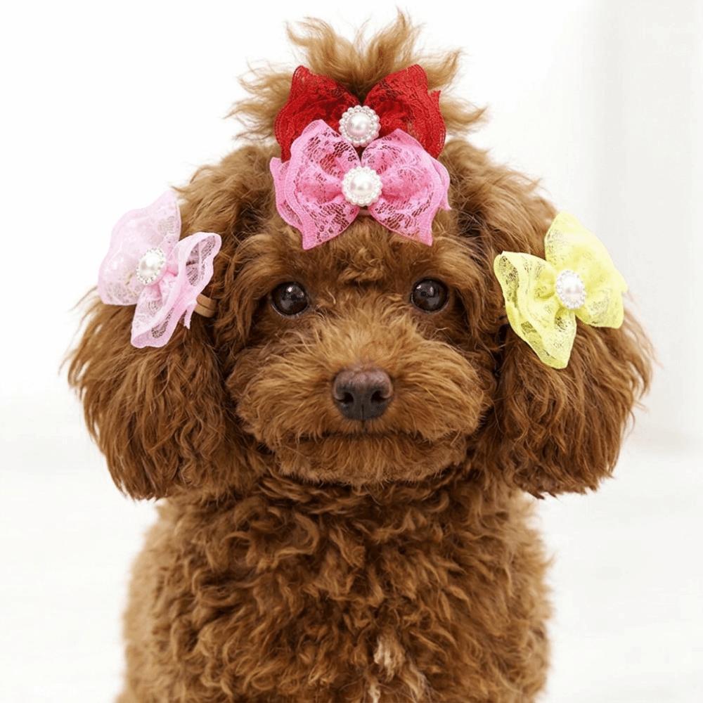 20Pcs Non-elastic Dog Hair Flower Bow Shape Pet Lace Headwear Pet Bow Hair Band  Daily Decoration