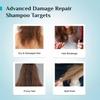 Pilgrim Advanced Damage Repair Shampoo For Dry And Damaged Hair Frizz Control Shine Care Daily Unisex Use 200 Ml Pack Of 2