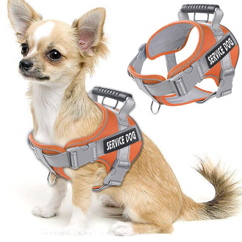 

Поводок для собак, поводок для прогулок, жилет для золотистого ретривера, лабрадора, большой, средней, маленькой собаки, цепочка на ремне S [