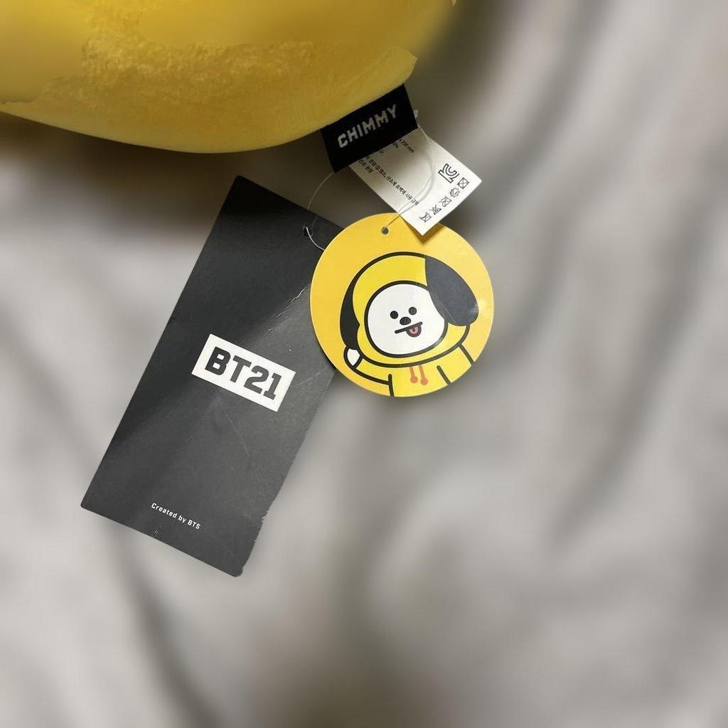 Used BT21 CHIMMY face cushion