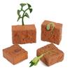 4Pcs Plants Grown Toy Simulation Educational PVC Plant Growth Cycle Model for Home