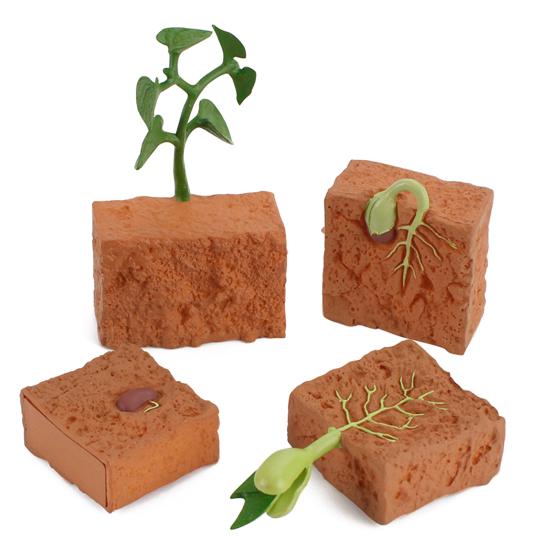 4Pcs Plants Grown Toy Simulation Educational PVC Plant Growth Cycle Model for Home