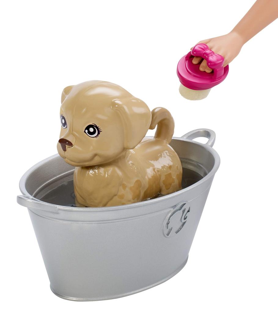 Barbie Pet Care Set Accessories for Ages 3 and Up (Dress-Up Doll, Set) (FXH11)