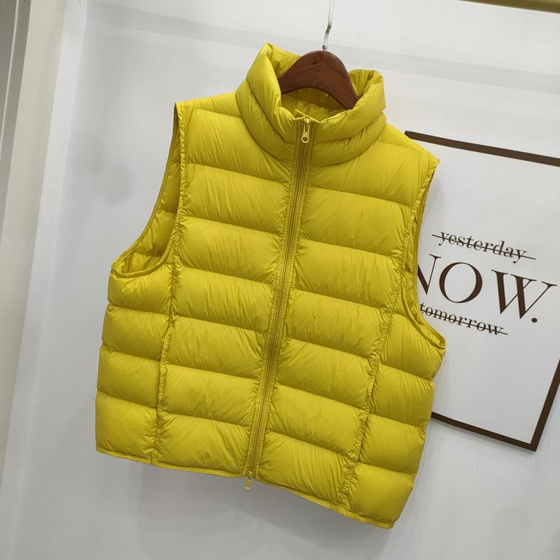 Women's Sleeveless Vest Stand Collar Casual Puffer Gilet Loose Fit Short Down Vest Fall Winter Outerwear
