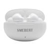 SMEBERT D18 True Wireless Noise-Cancelling Earbuds