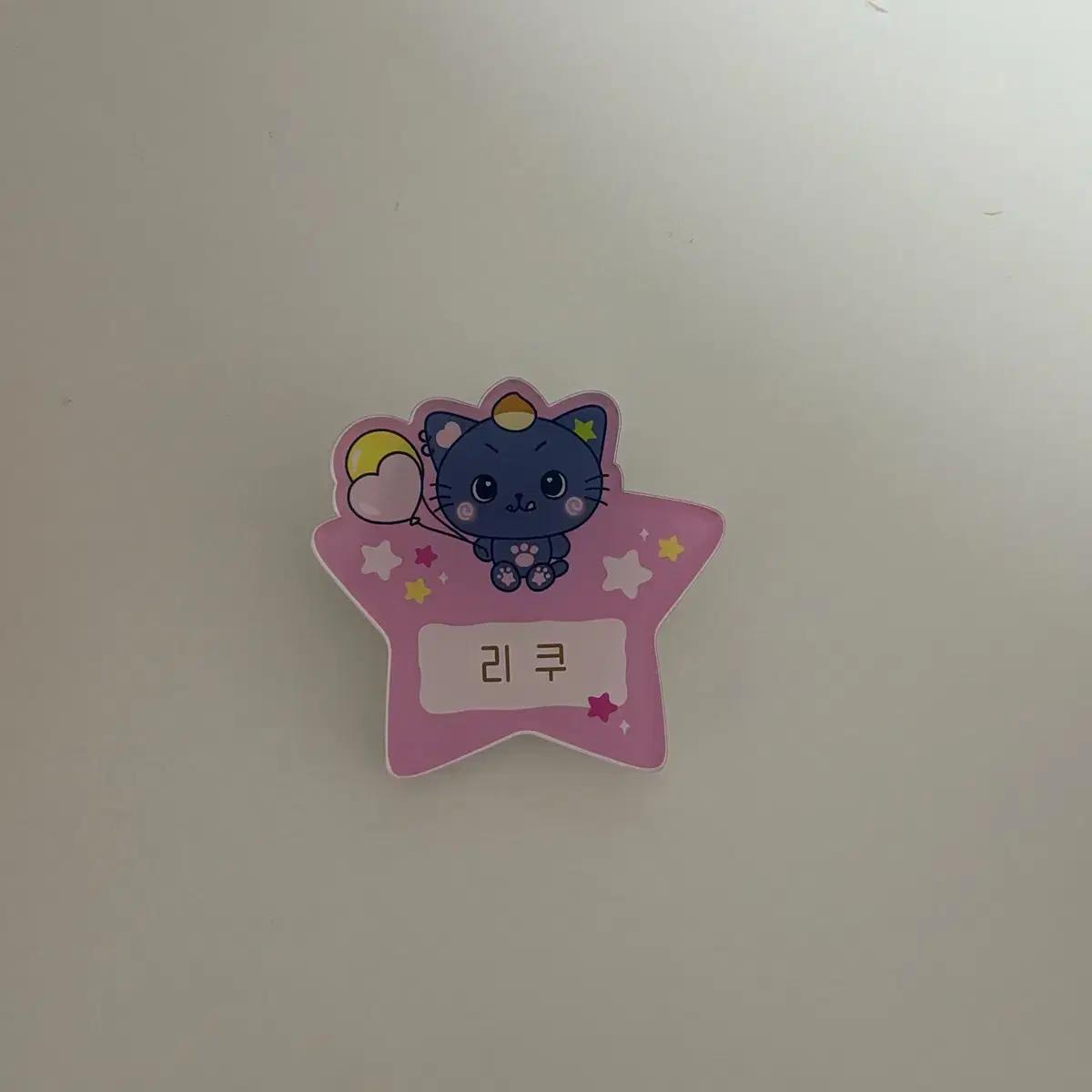 

Nct Wish Everland Именная табличка Рику