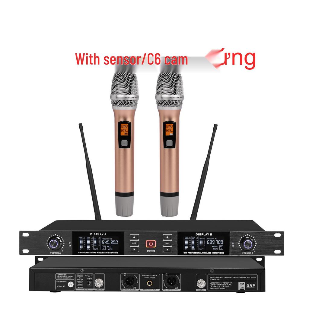 Premium KTV Infrared Wireless Dual Microphone Set