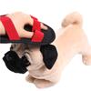 Cloth Pet Hair Removal Glove Hangable Electrostatic Cleaner 5-Finger Grooming Cleaner  Car Seat