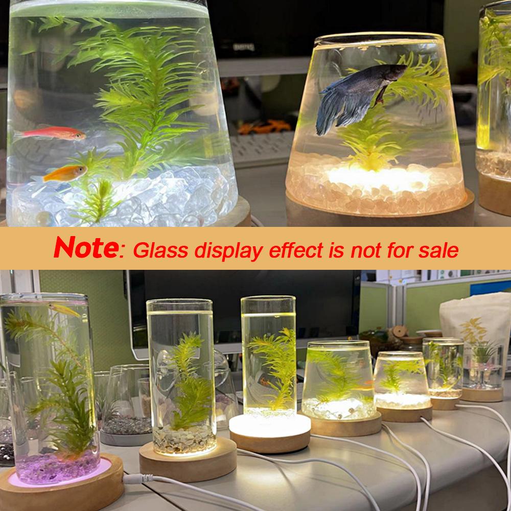 Wood Round LED Night Light Base Art Display Holder USB Lamp for Crystals Glass Ball Resin Art Decoration 100mm