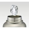 Skater 1500ml Direct Bottle with Silver STD15H-A Handle,