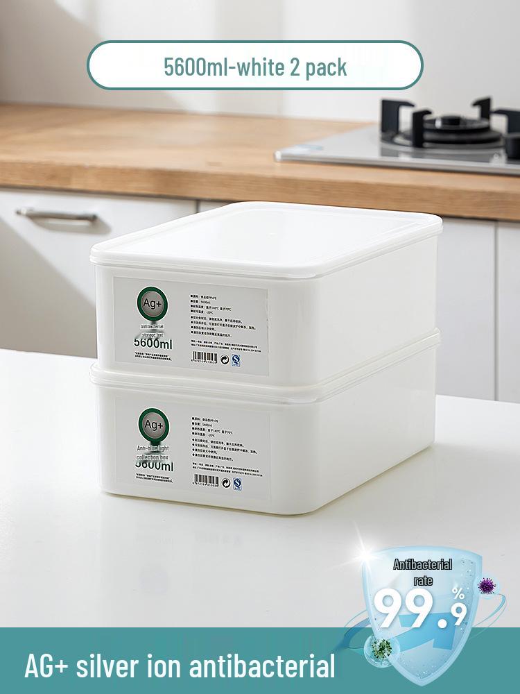 Large Capacity Fresh-Keeping Storage Box for Steamed Buns and Dumplings
