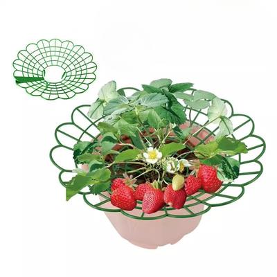 Vassoio Circolare per Innesti di Fragole e Verdure, Piante in Vaso con Protezione Anti Marciume e Anti Caduta Foglie, Supporto e Telaio di Fissaggio Orticolo Durevoli