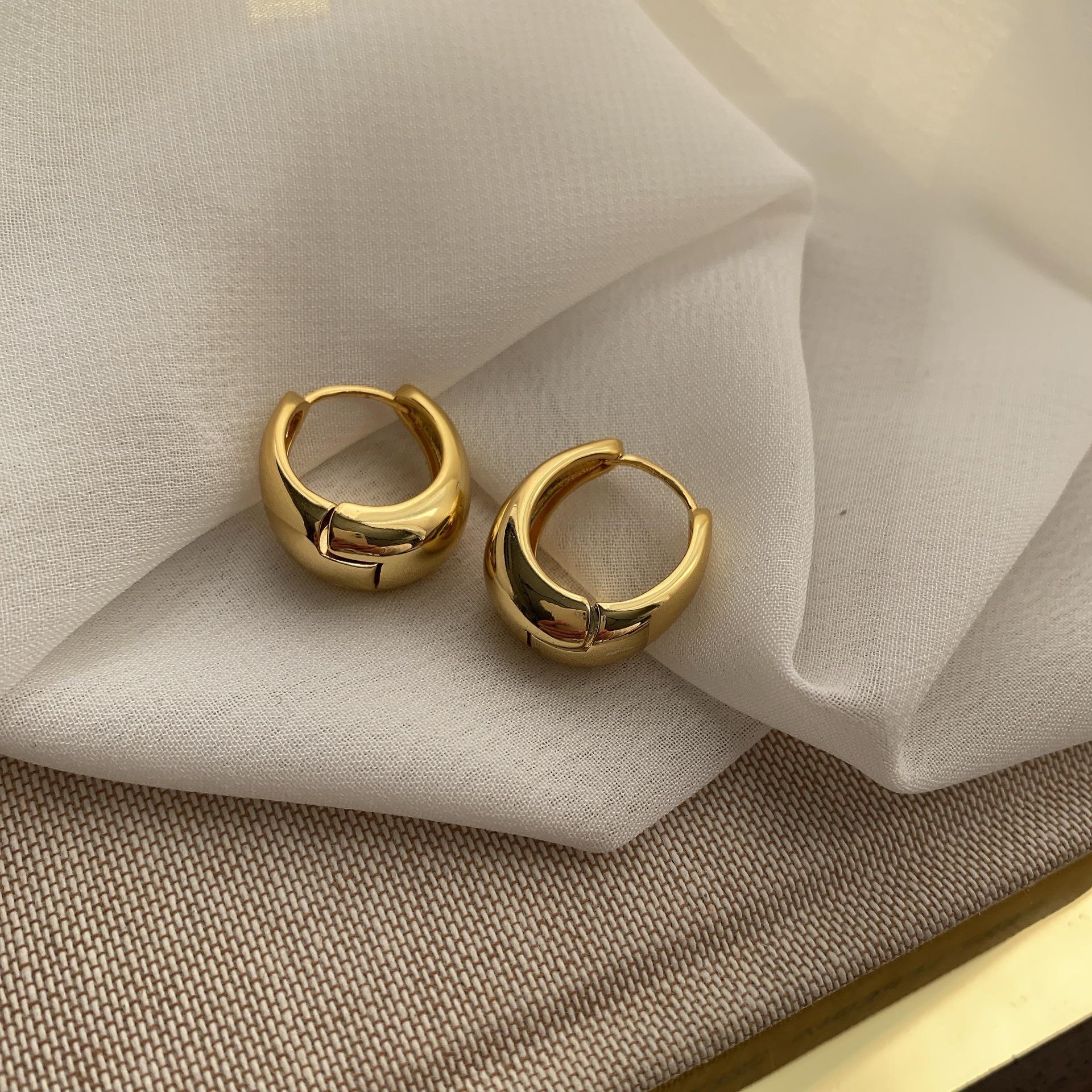 Premium cold wind earrings New trendy ear buckles Simple earrings Niche design Premium metal earrings