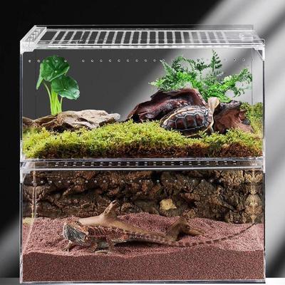 Sürüngen – Sürüngen Terraryumları